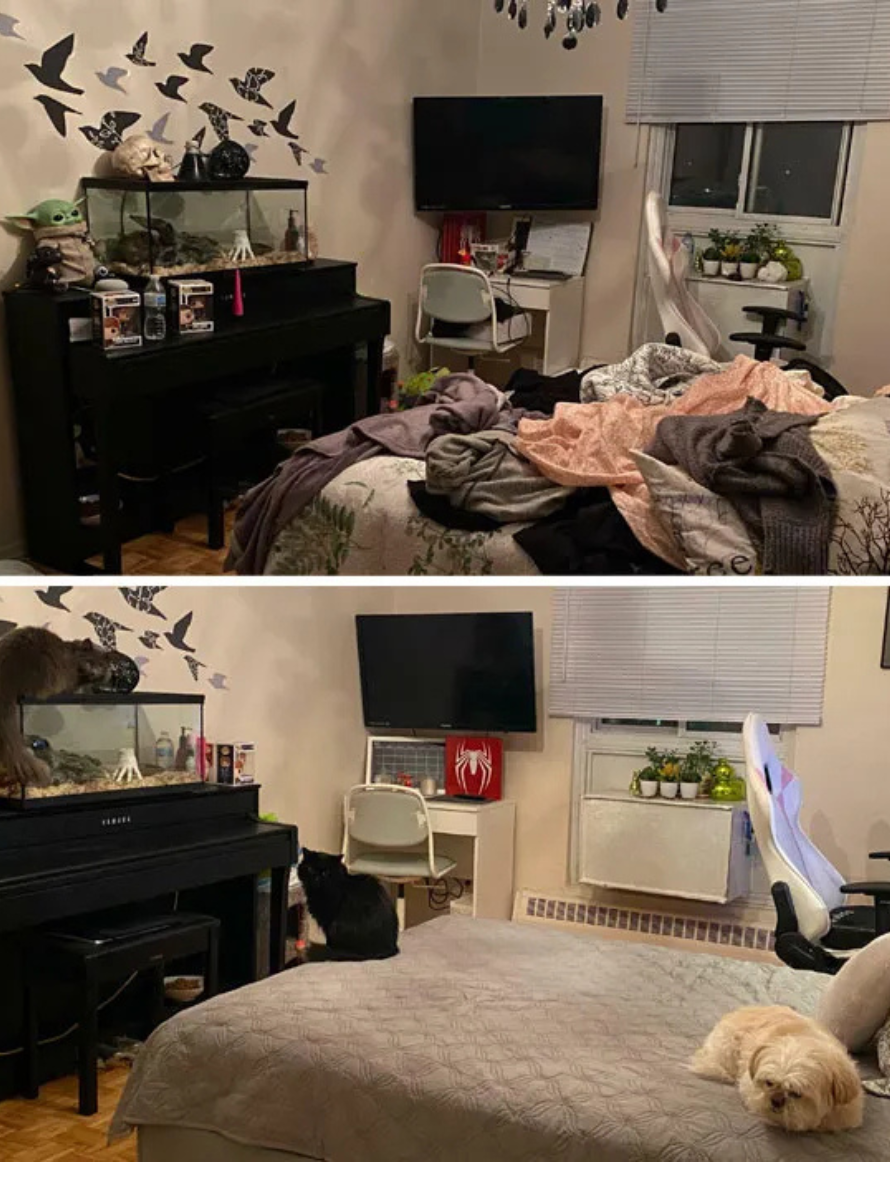 Design sem nome (78)